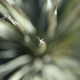 Illustration for article titled Shooting Challenge: Bokeh, Gallery 2